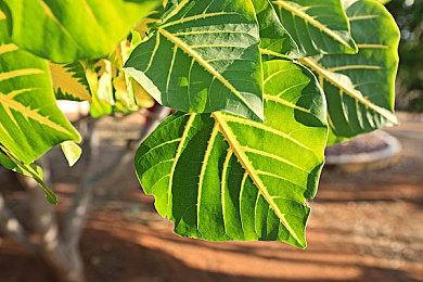 2023年东京电玩展公布主视觉图 9月21日举办